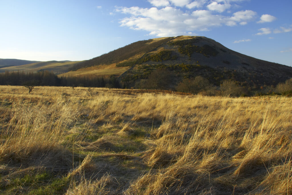 England, Northumberland, Northumberland National Park. The typical landscape encountered on the St Cuthberts way long distance track near Hethpool Mill as the track continues from the start of the College Valley to the town of wooler - the self proclaimed gateway to the cheviots and the Northumberland National Park
