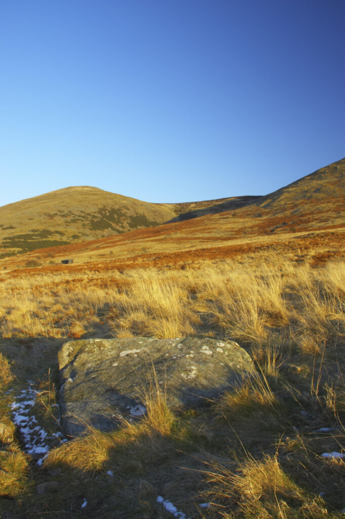 England, Northumberland, Northumberland National Park. The typical landscape encountered on the St Cuthberts way long distance track near Hethpool Mill as the track continues from the start of the College Valley to the town of wooler - the self proclaimed gateway to the cheviots and the Northumberland National Park
