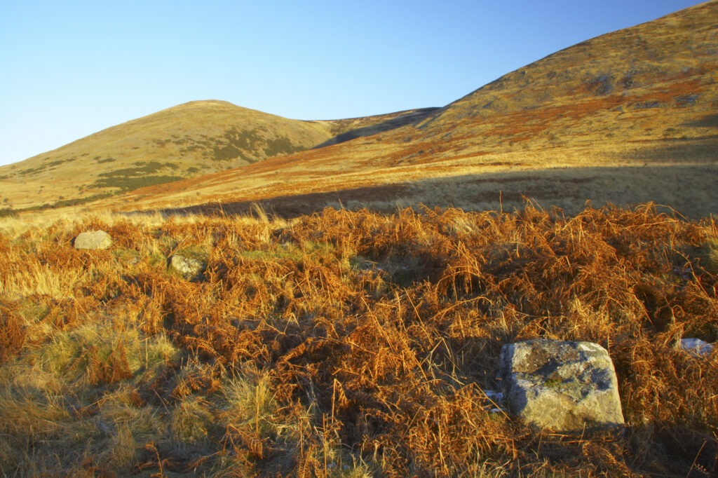 England, Northumberland, Northumberland National Park. The typical landscape encountered on the St Cuthberts way long distance track near Hethpool Mill as the track continues from the start of the College Valley to the town of wooler - the self proclaimed gateway to the cheviots and the Northumberland National Park