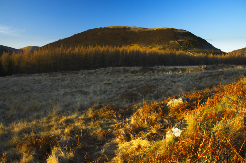 England, Northumberland, Northumberland National Park. The typical landscape encountered on the St Cuthberts way long distance track near Hethpool Mill as the track continues from the start of the College Valley to the town of wooler - the self proclaimed gateway to the cheviots and the Northumberland National Park