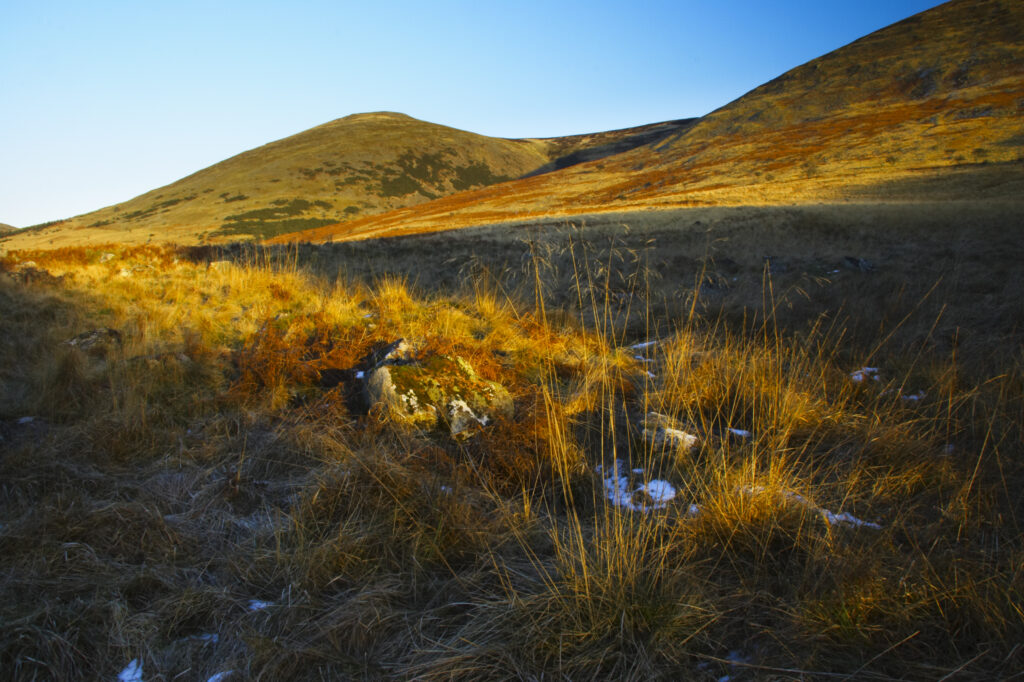 England, Northumberland, Northumberland National Park. The typical landscape encountered on the St Cuthberts way long distance track near Hethpool Mill as the track continues from the start of the College Valley to the town of wooler - the self proclaimed gateway to the cheviots and the Northumberland National Park