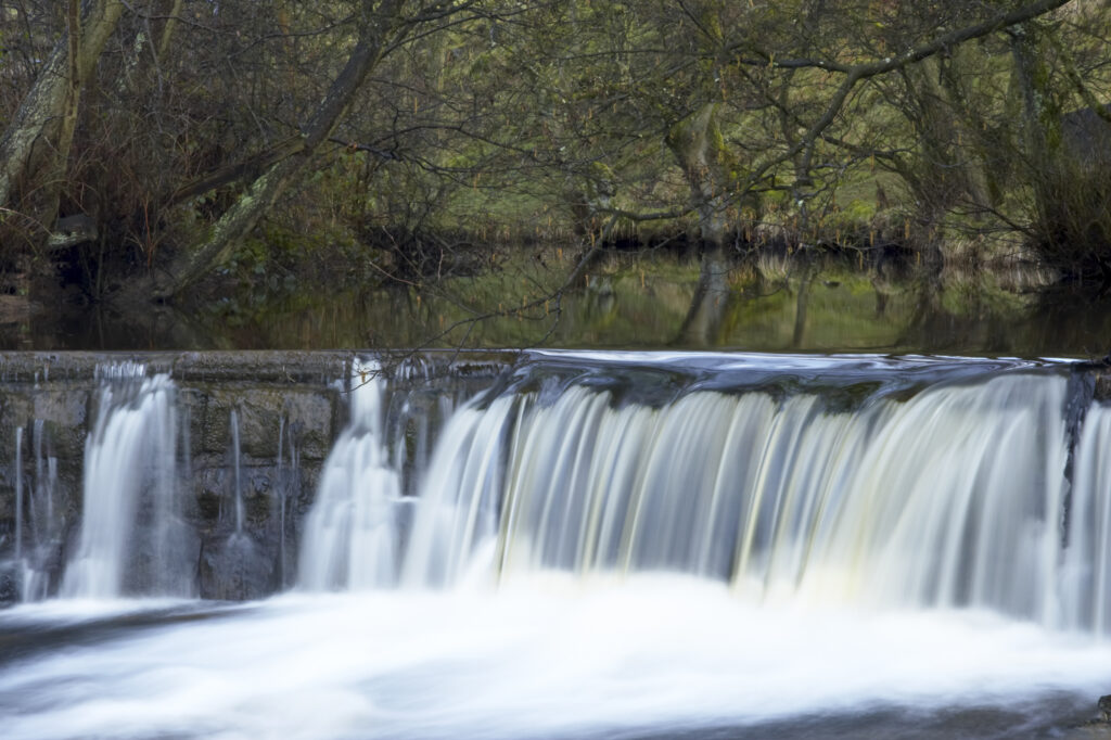England, North Yorkshire, North York Moors National Park. Eller Beck and woodland near Goathland.