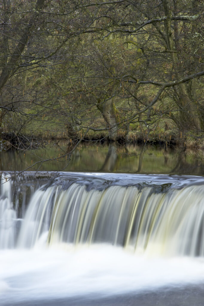 England, North Yorkshire, North York Moors National Park. Eller Beck and woodland near Goathland.