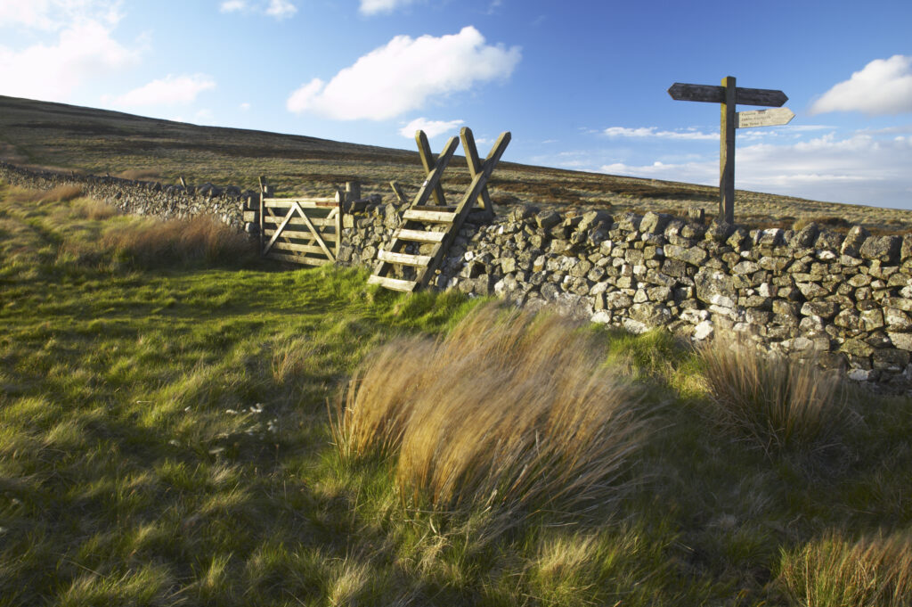Scotland Scottish Borders The Pennine Way Ladder Stile over a wall marking the England Scotland border near the Schil.