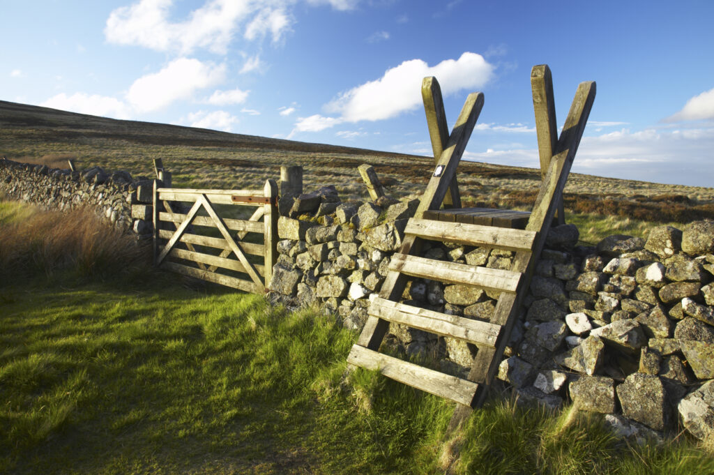 Scotland Scottish Borders The Pennine Way Ladder Stile over a wall marking the England Scotland border near the Schil.