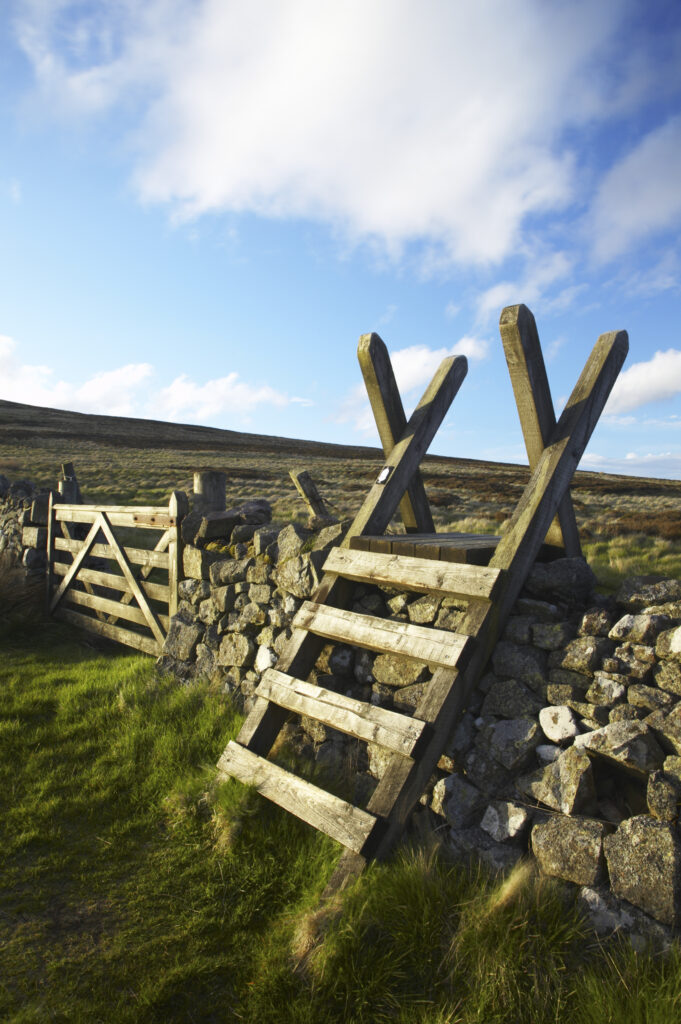 Scotland Scottish Borders The Pennine Way Ladder Stile over a wall marking the England Scotland border near the Schil.