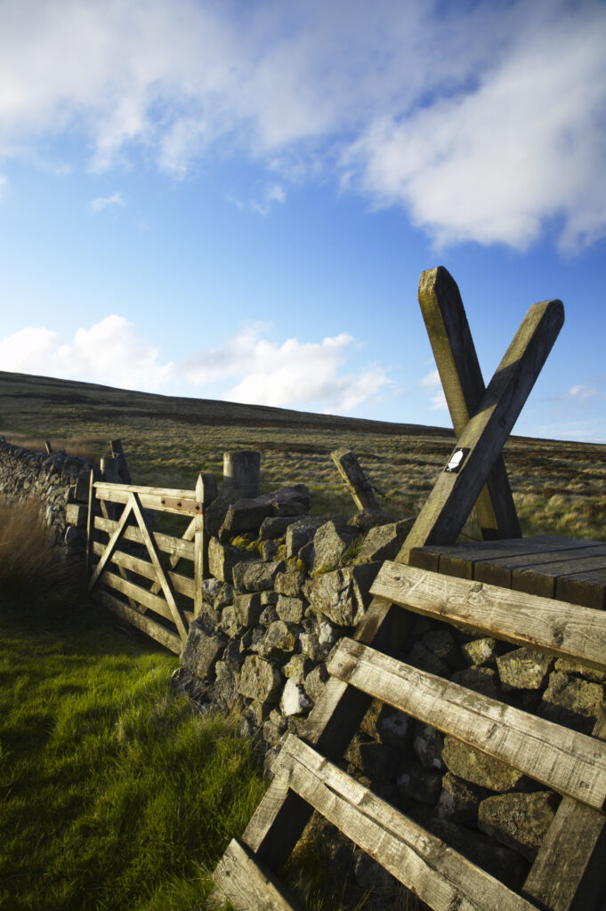 Scotland Scottish Borders The Pennine Way Ladder Stile over a wall marking the England Scotland border near the Schil.