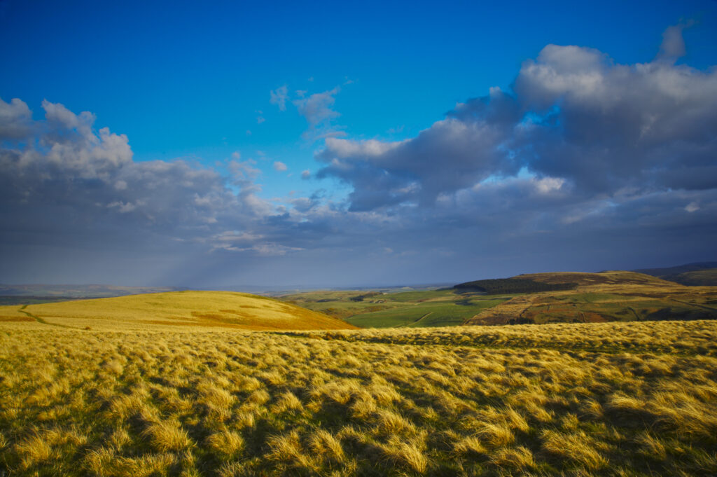 England, Northumberland, Northumberland National Park. The typical landscape encountered on the St Cuthberts way track nr Wooler