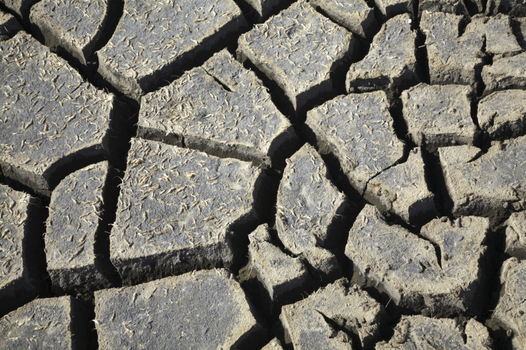 England, Northumberland, Budle Bay. Dried mud in a pool after a heat wave in the summer of 2006