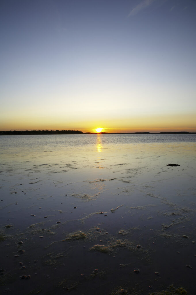 ENGLAND Northumberland Budle Bay. Sunset over Budle Bay near Bamburgh and part of the Northumberland Heritage Coast.