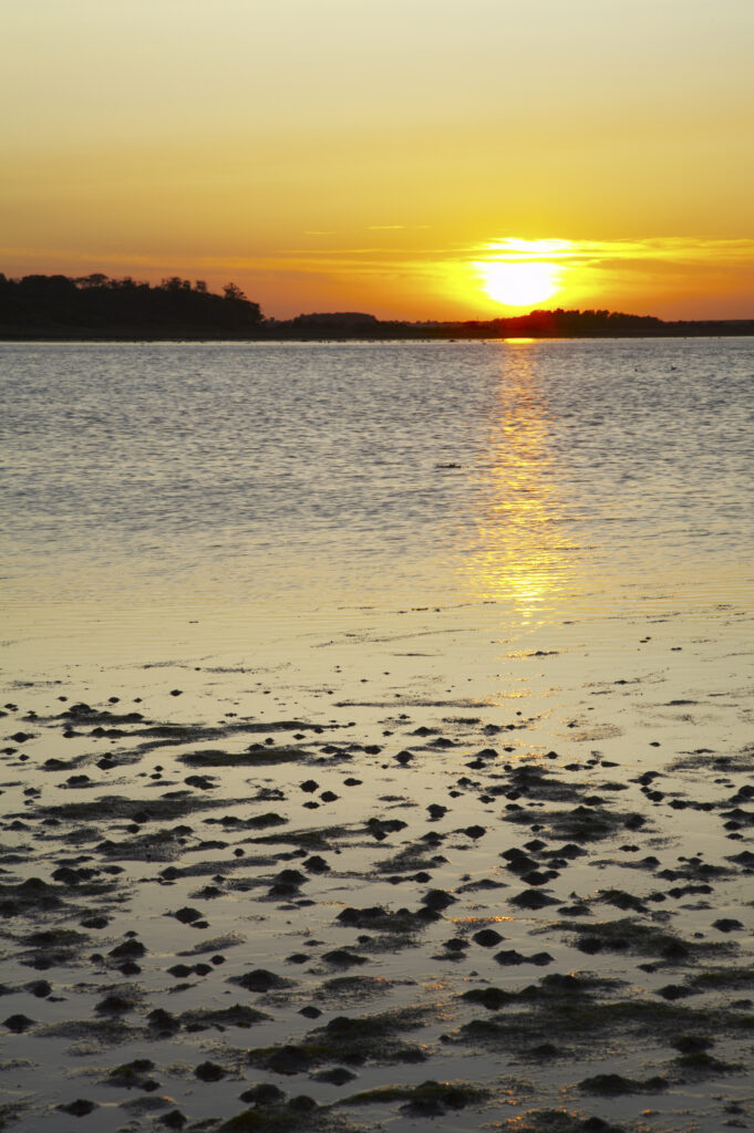ENGLAND Northumberland Budle Bay. Sunset over Budle Bay near Bamburgh and part of the Northumberland Heritage Coast.