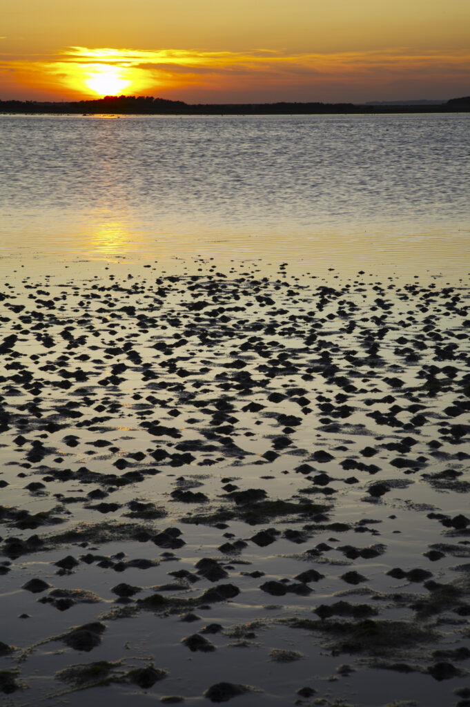 ENGLAND Northumberland Budle Bay. Sunset over Budle Bay near Bamburgh and part of the Northumberland Heritage Coast.