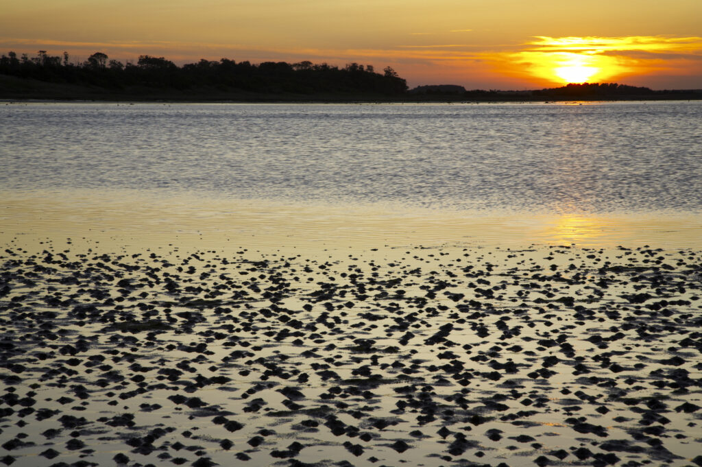 ENGLAND Northumberland Budle Bay. Sunset over Budle Bay near Bamburgh and part of the Northumberland Heritage Coast.