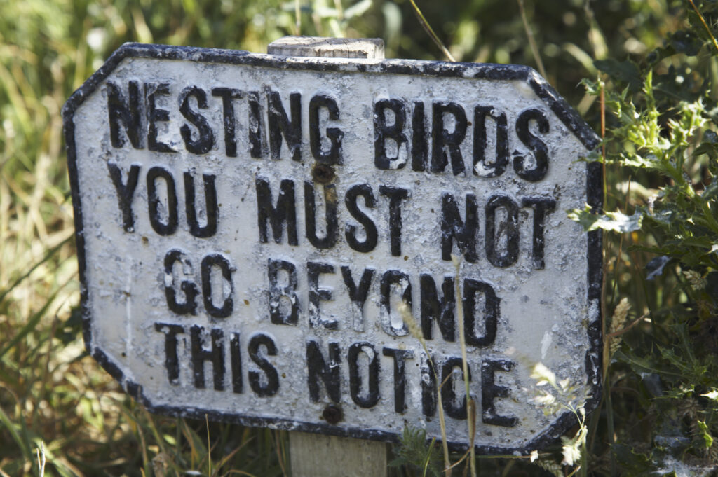 England Northumberland Farne Islands Nesting Birds notice on the Farne Islands