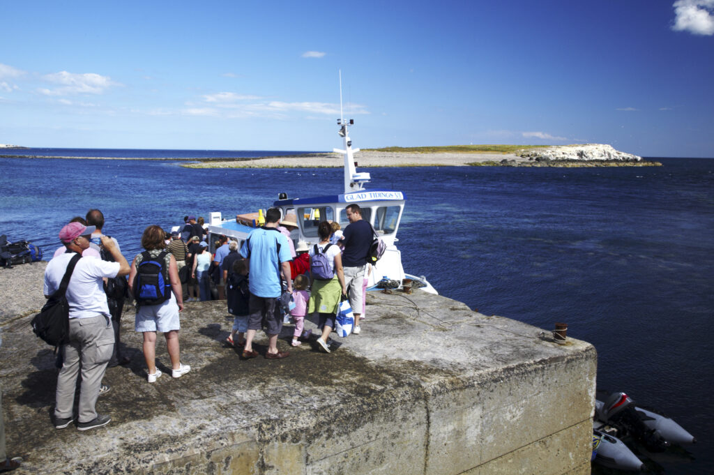 England Northumberland Farne Islands Tourists queue for the Glad Tidings boat trip from the Farne Islands