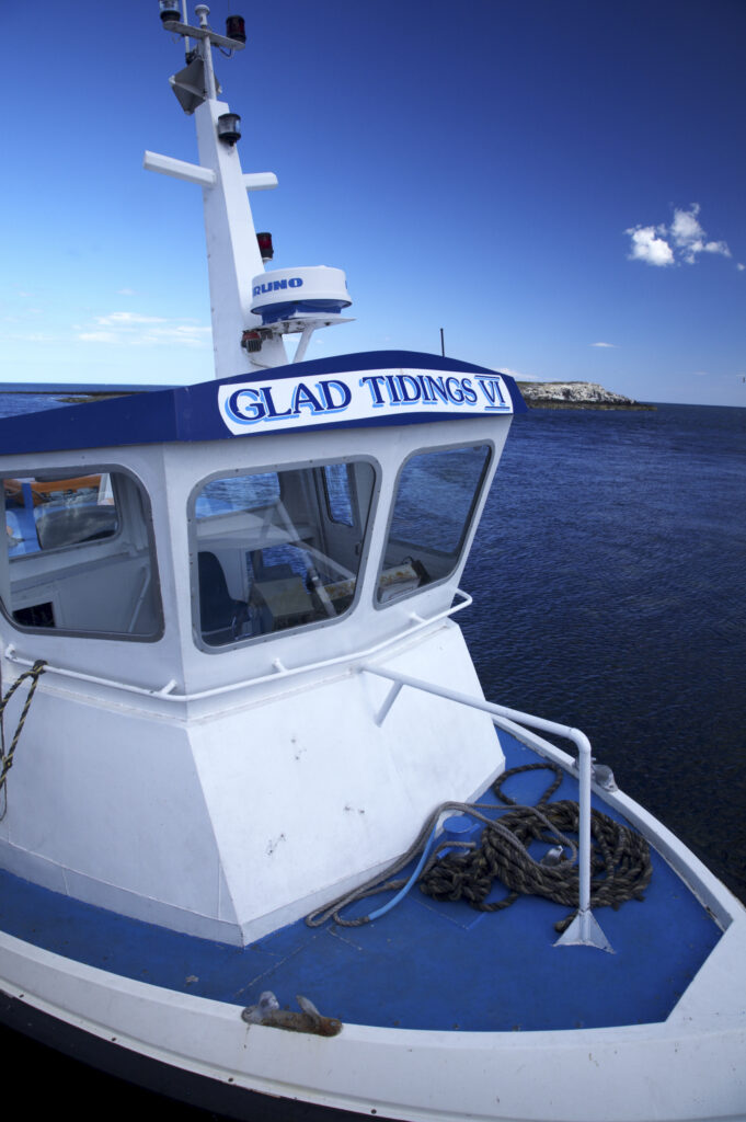 England Northumberland Farne Islands Glad Tidings boat trip to the Farne Islands