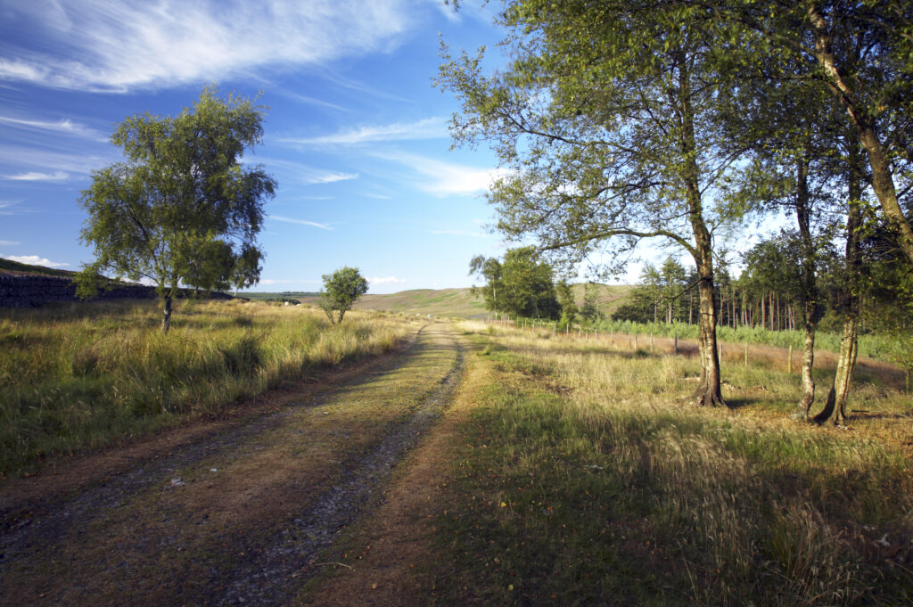 ENGLAND Northumberland Rothbury Farm track near the Rothbury Terraces a popular spot for local and visiting walkers