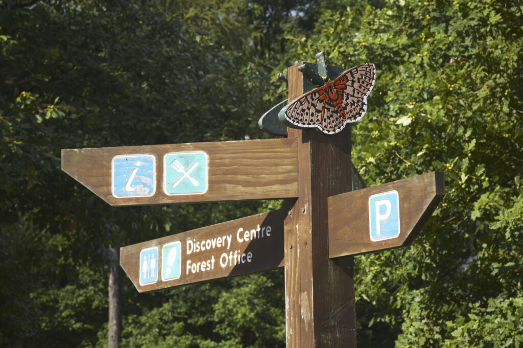 ENGLAND Worcestershire Wyre Forest Wooden butterfly on a track / path sign near the visitor centre.