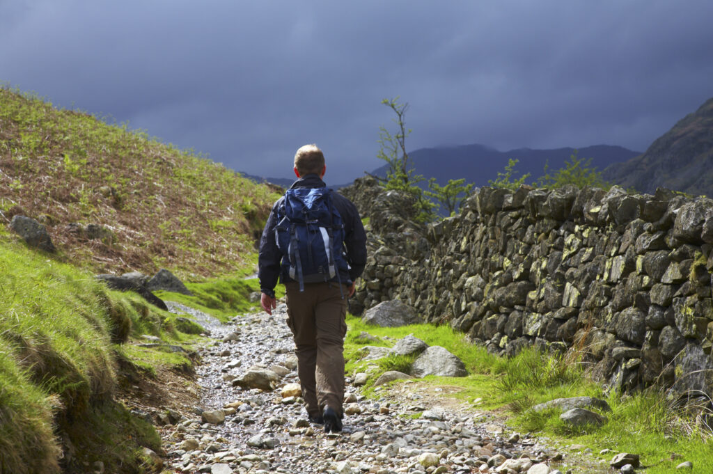 England, Cumbria, Lake District National Park. A hiker walking along the Cumbria Way near Chapel Stile, heading towards Dungeon Ghyll and the Langdale Mountains.