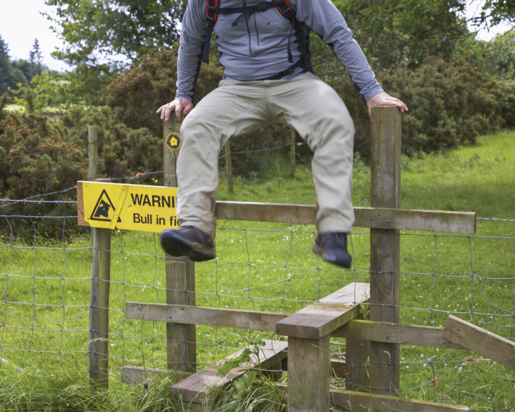 England, Cumbria, The Cumbria Way. A hiker gets away from a bull by jumping over a stile on the last day of the Cumbria Way track from Caldbeck to Carlisle.