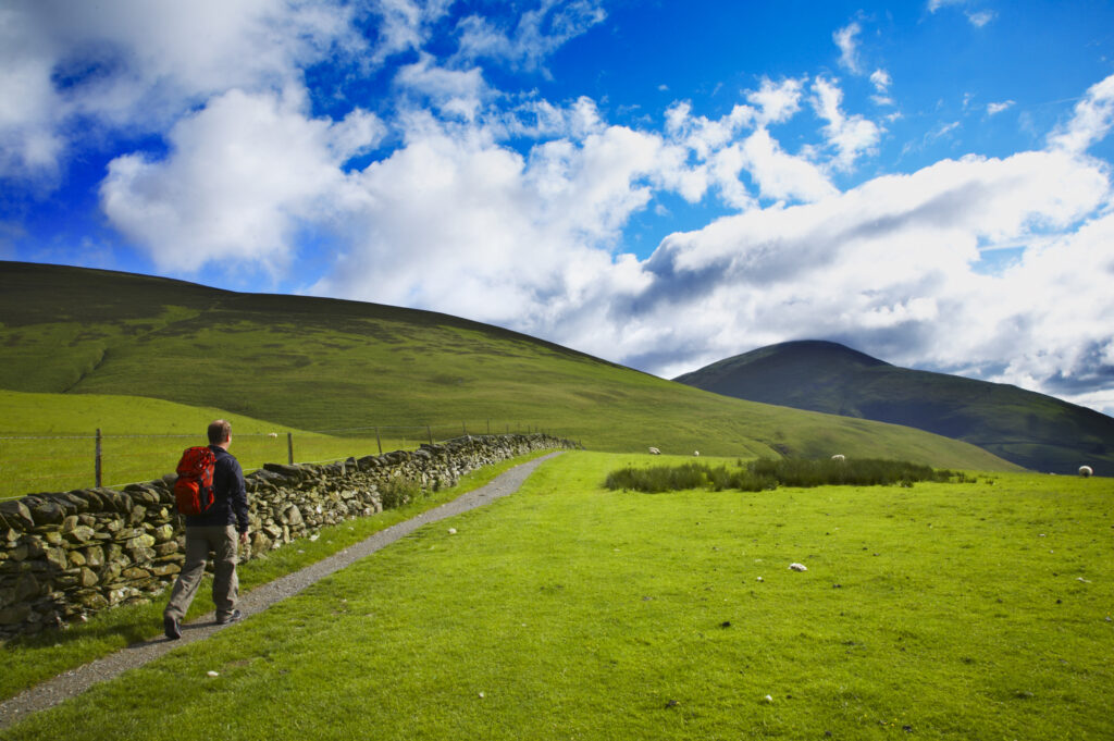 England, Cumbria, The Lake District National Park. A hiker heading towards lower lonscale and Caldbeck Common on a stretch of the Cumbria Way