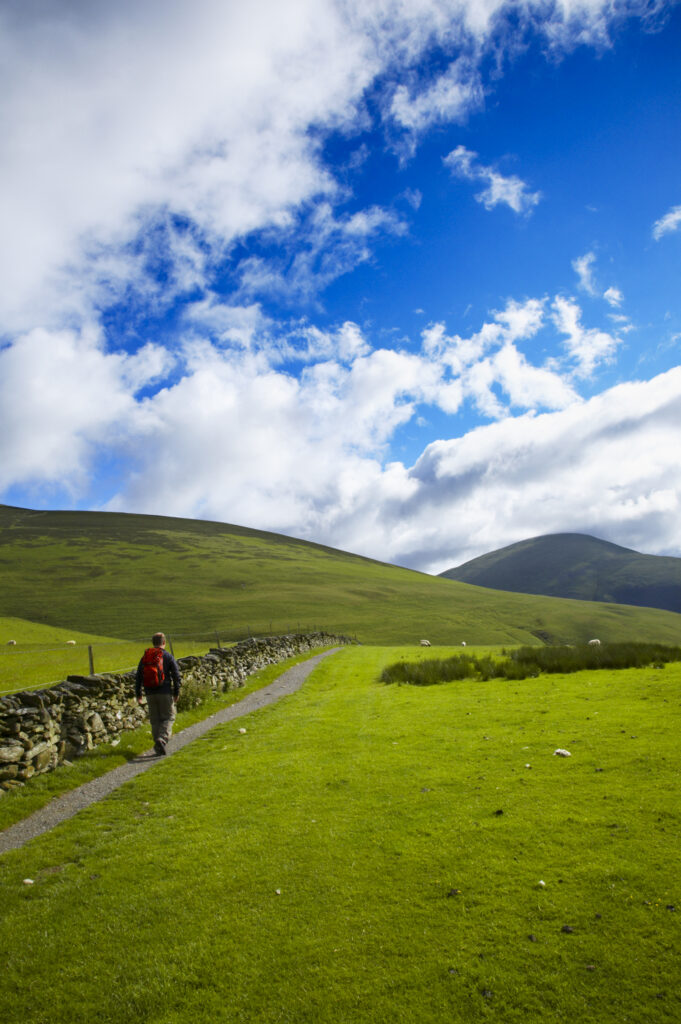 England, Cumbria, The Lake District National Park. A hiker heading towards lower lonscale and Caldbeck Common on a stretch of the Cumbria Way