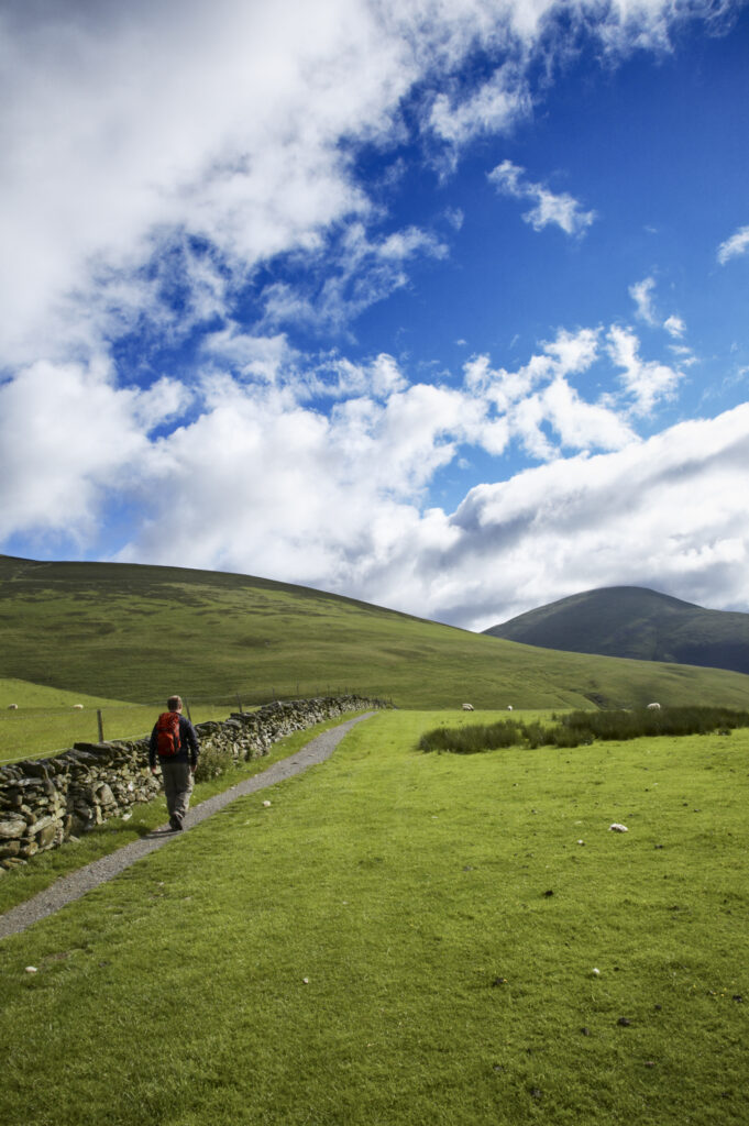 England, Cumbria, The Lake District National Park. A hiker heading towards lower lonscale and Caldbeck Common on a stretch of the Cumbria Way