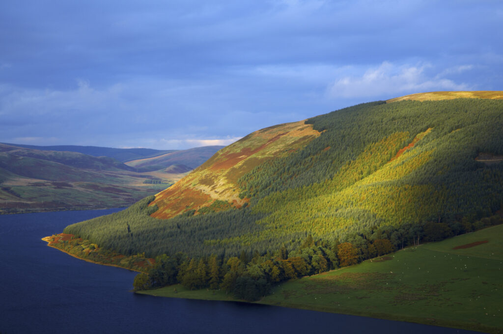 Scotland, Scottish Borders, St Marys Loch. Breaking light illuminates the autumn colours of the tree clad hills surrounding St Marys Loch.