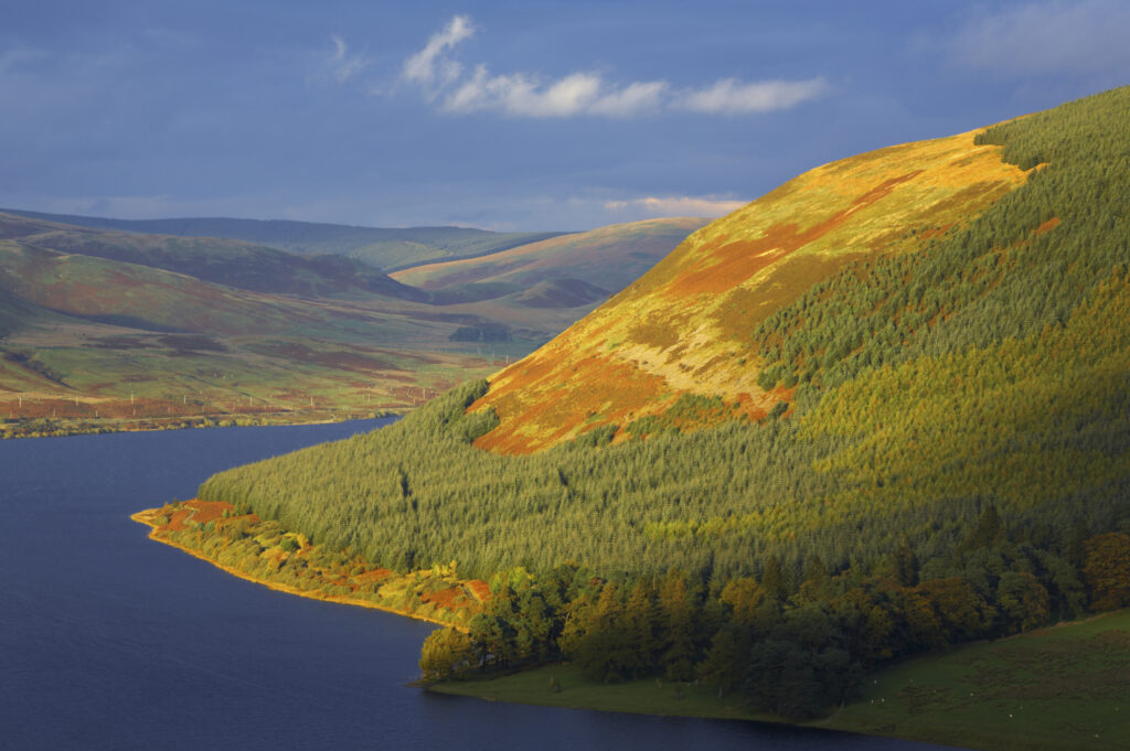 Scotland, Scottish Borders, St Marys Loch. Breaking light illuminates the autumn colours of the tree clad hills surrounding St Marys Loch.