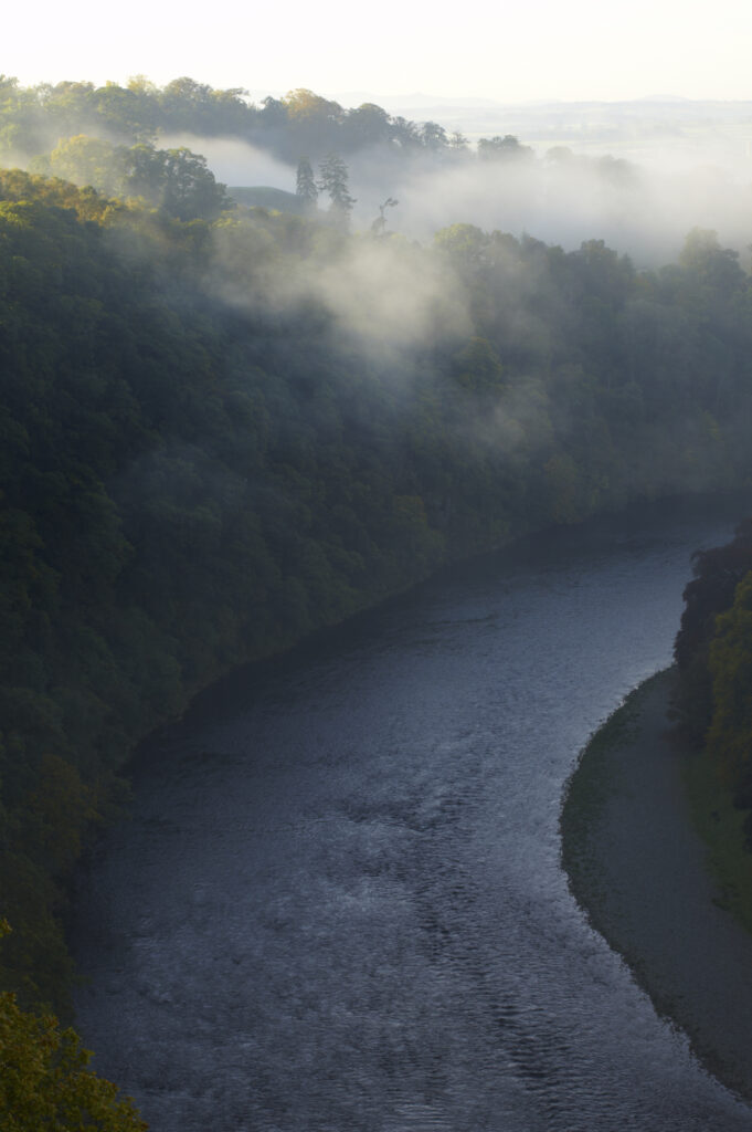 Scotland, Scottish Borders, Melrose. Autumn mists clear from woodland above the River Tweed, viewed from the famous viewpoint of Scott's View near Newton St Boswells.