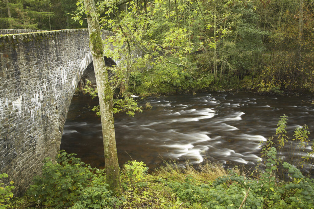 Scotland, Scottish Borders, The River Ettrick. A stone bridge over the fast flowing River Ettrick.