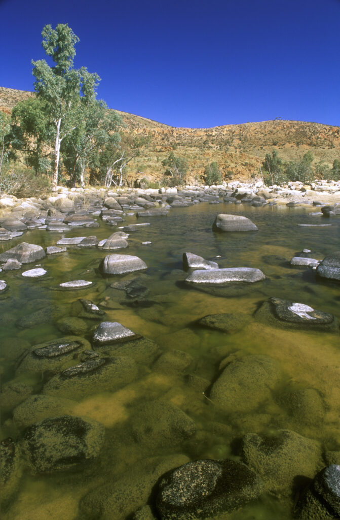 AUSTRALIA, Northern Territory, West Macdonnell National Park. The vibrant colours of the often dry Ellery Creek
