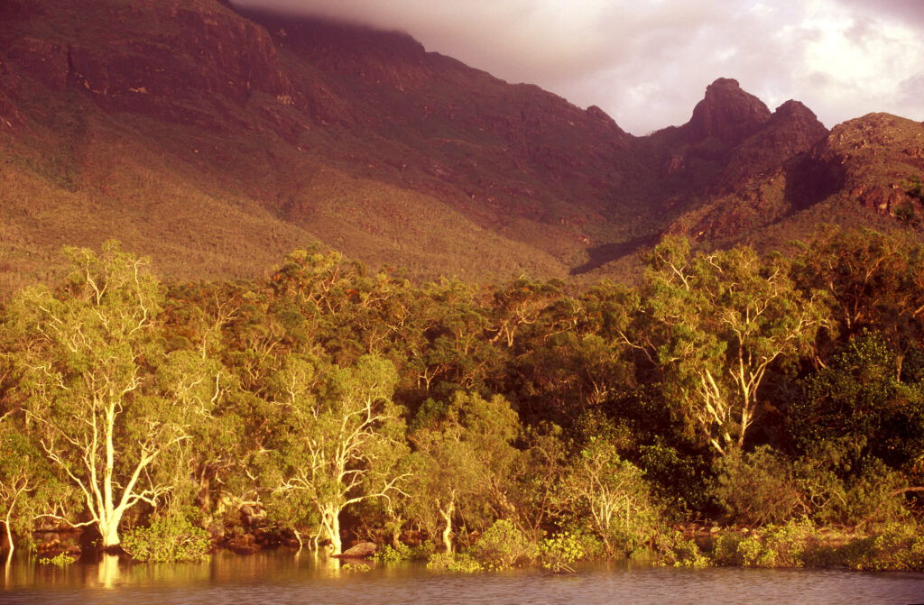 AUSTRALIA, Queensland, Hinchinbrook Island National Park. Soft morning light bathes the lagoon found on the Little Ramsey Bay