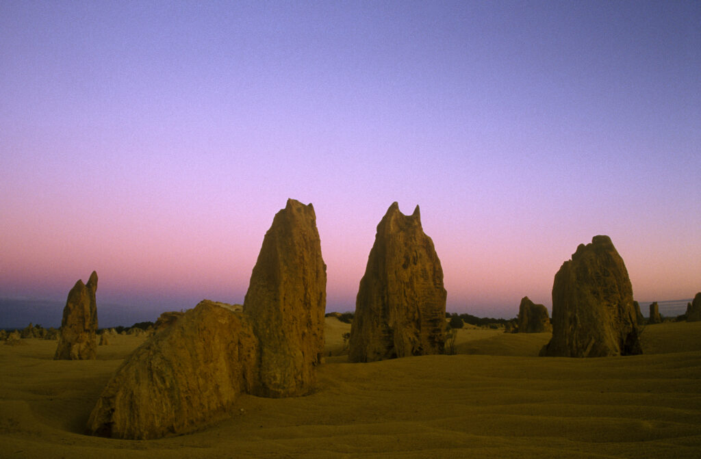 AUSTRALIA, Western Australia, Nambung National Park. The colours of dawn illuminate the pinnacles found within Nambung National Park