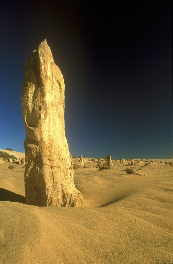 AUSTRALIA, Western Australia, Nambung National Park. One of the hundreds of unusual limestone pillars found within Nambung National Park