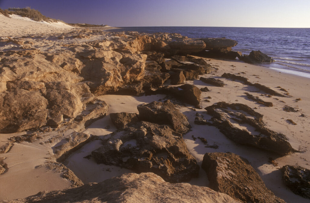 AUSTRALIA, Western Australia, Cape Range National Park. The soft glow of sunset, illuminates the both rocky and sandy coastline of Lakeside.