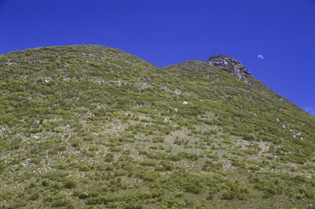 AUSTRALIA, Western Australia, Stirling Range National Park. The green slopes of Mount Hassell against a backdrop of a blue sky