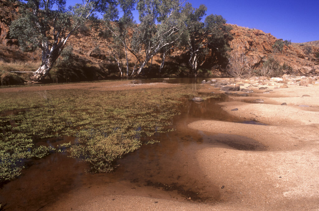 AUSTRALIA, Northern Territory, West Macdonnel National Park. The natural curves of a billabong in the heart of the australian outback