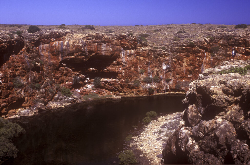 AUSTRALIA, Western Australia, Cape Range National Park. A bush walker admires Yardi Creek