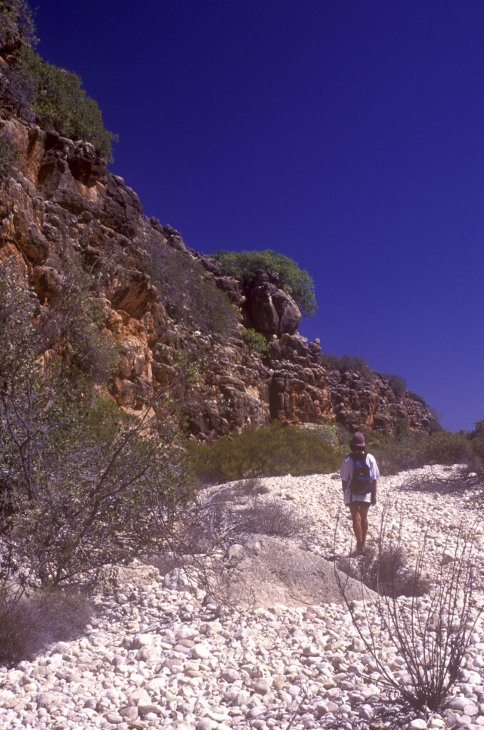 AUSTRALIA, Western Australia, Cape Range National Park. Girl bush walker enjoying a hike through Mandu Mandu gorge