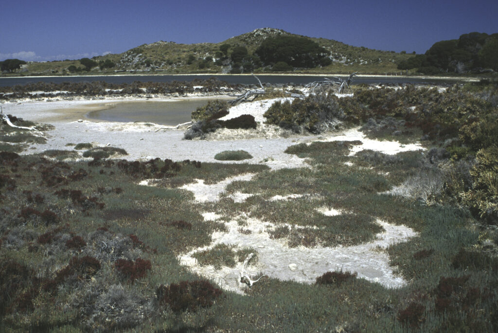 AUSTRALIA, Western Australia, Rottnest Island. Lake Vincent a popular weekend retreat for Perth city dwellers