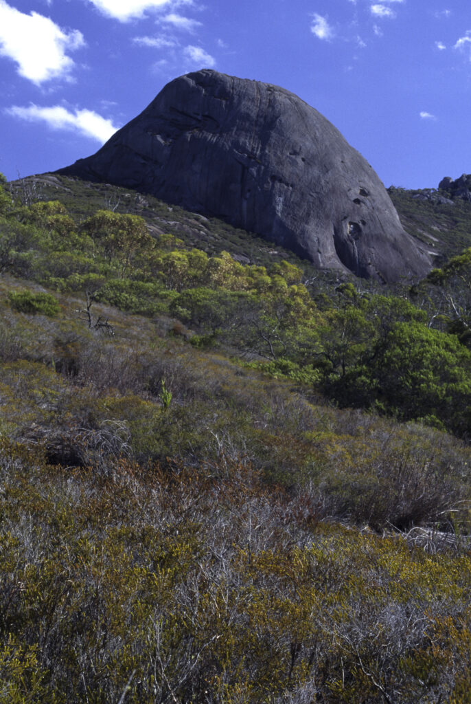 Australia, western australia, Porongurup Range National Park. A typical rocky landscape to be found in the park