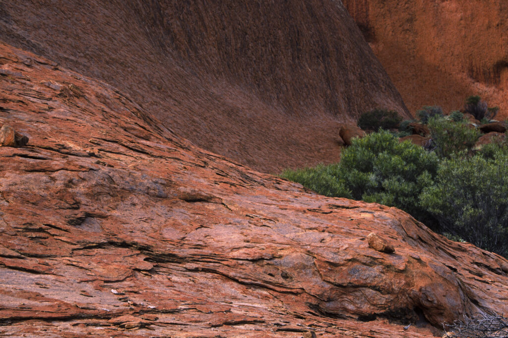 AUSTRALIA, Northern Territory, Uluru National Park. An abstract view of the sacred site of Ayers Rock