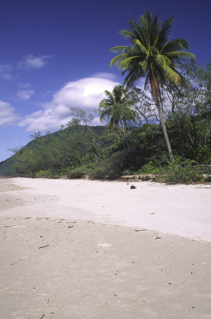 AUSTRALIA, Queensland, Daintree National Park. Noah Beach the typical tropical coastline to be found in this world heritage area
