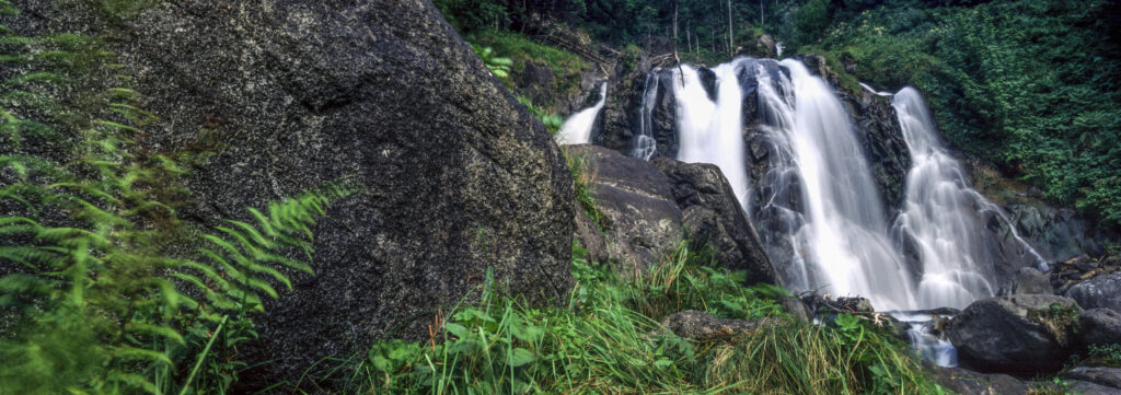 FRANCE, Midi Pyrenees, Pyrenees National Park. The flowing waters of the Cascades de Lutour and surrounding forest
