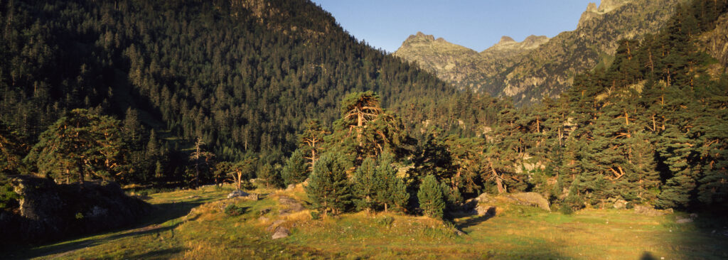 FRANCE, Midi Pyrenees, Pyrenees National Park. Early morning light illuminates the peaks and woodlands of the Pont d Espagne