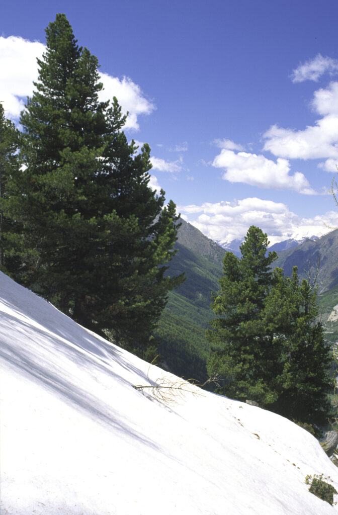 ITALY, Valle d'Aosta, Gran Paradiso National Park. Snow remains well into spring in the peaks of the mountain landscape of the western Alps above the Lillaz valley.