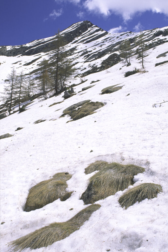 ITALY, Valle d'Aosta, Gran Paradiso National Park. Snow remains well into spring in the peaks of the mountain landscape of the western Alps above the Lillaz valley.