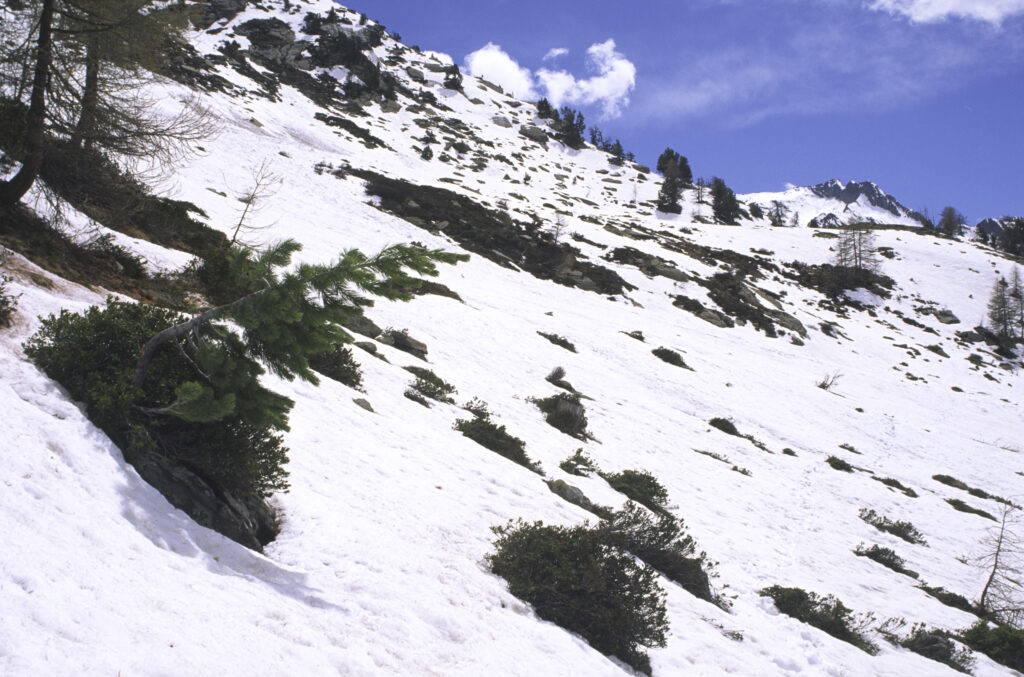 ITALY, Valle d'Aosta, Gran Paradiso National Park. Snow remains well into spring in the peaks of the mountain landscape of the western Alps above the Lillaz valley.