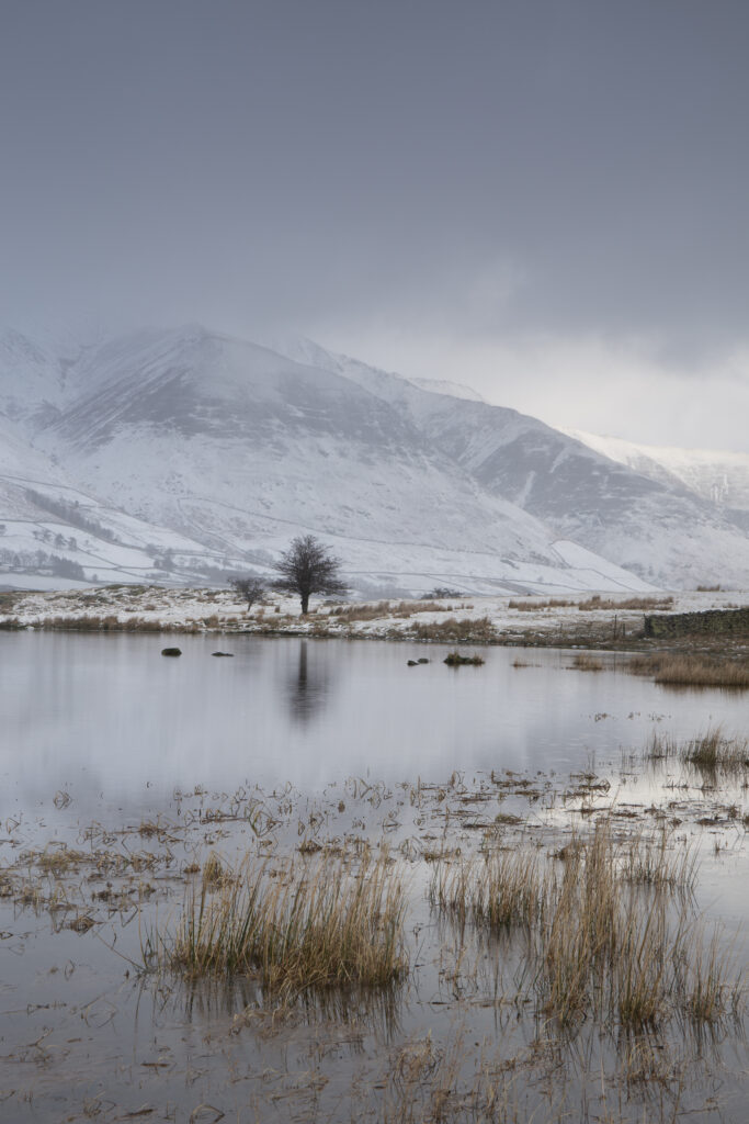 England, Cumbria, Lake District National Park. A winter view of Tewit Tarn (also spelt as Tewet Tarn) with a snow covered mountain (Blencathra) in the distance.